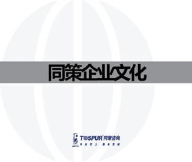 致客戶的承諾——做值得托付的房地產(chǎn)智囊\n副標(biāo)題 某房地產(chǎn)咨詢服務(wù)公司企業(yè)文化重塑行動(dòng)綱要文件（內(nèi)部審核版）\n\n**第2-3頁(yè) 我們的行業(yè)信念**\n? 房地產(chǎn)不僅是鋼筋水泥，更是城市靈魂的載體。“我們尊重每一塊土地的基因。”\n? 唯一不變的是變化與專業(yè)。核心命題 從增長(zhǎng)邏輯轉(zhuǎn)向價(jià)值邏輯的生存之道。\n\n**第4-5頁(yè) 使命定義**\n我們存在的根本原因 “賦能不動(dòng)產(chǎn)全周期，讓投資回歸價(jià)值本質(zhì)。”（注 在供給側(cè)改革與去金融化大背景下，幫助客戶甄別泡沫，專注抗周期真理。）\n\n**第6-8頁(yè) 戰(zhàn)略