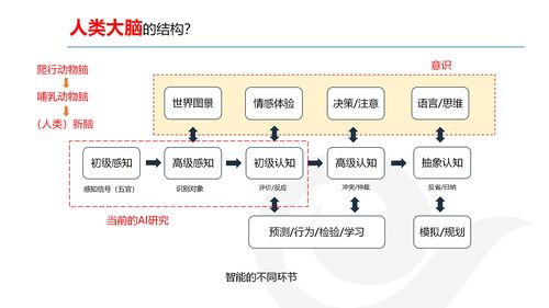 AI產(chǎn)品經(jīng)理的發(fā)展與規(guī)劃 網(wǎng)絡(luò)技術(shù)開(kāi)發(fā)視角